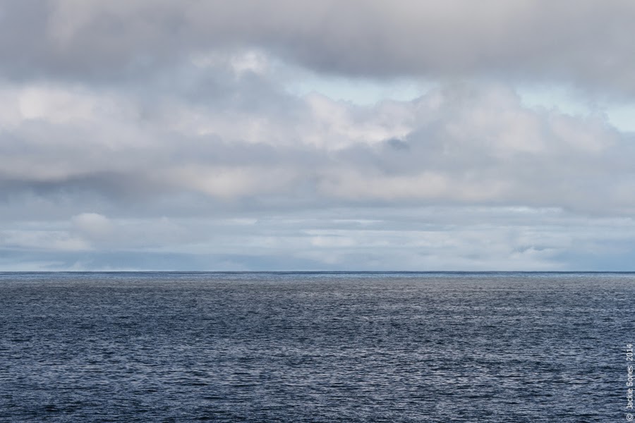 The Natural History of Bodega Head 17.5