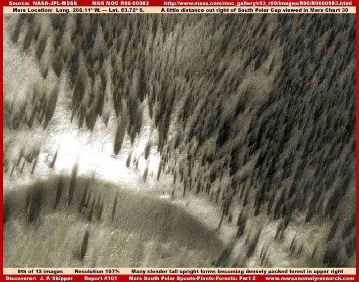 Le Immagini Riprese Ma Non Trasmesse Le Immagini Riprese Ma Non Trasmesse