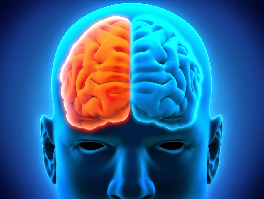 Ciencia con Prudencia Una cabeza, dos consciencias