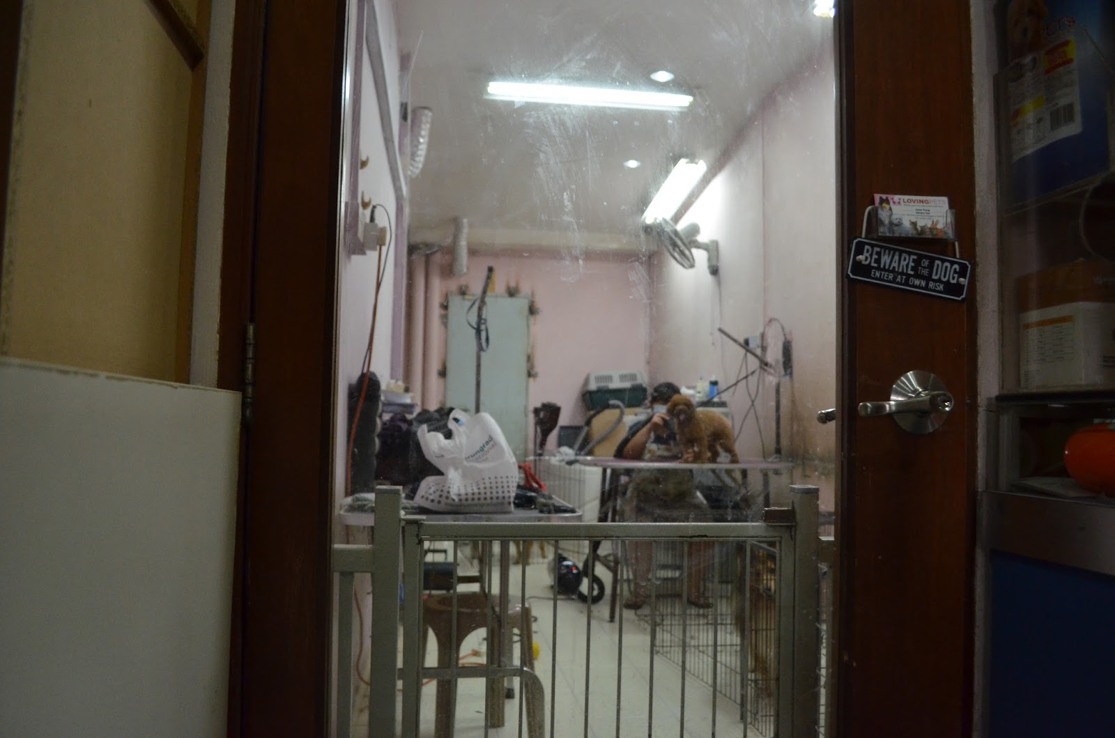 Loving Pets Grooming Shop Review