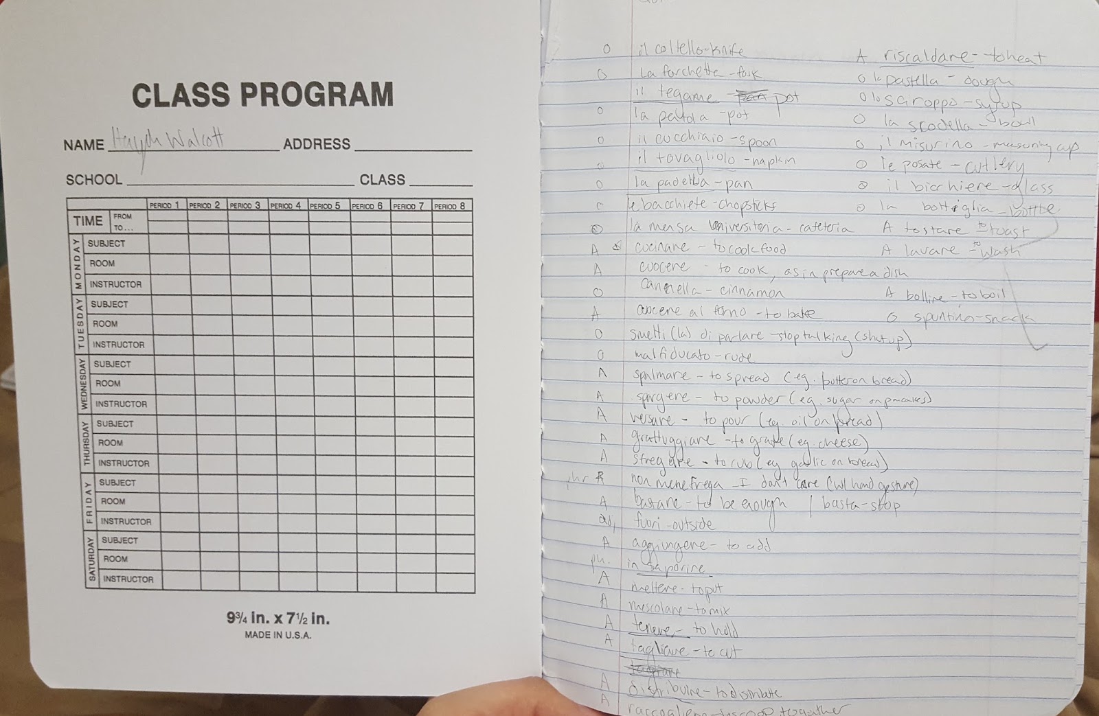 Hayden S Italian Portfolio April 16