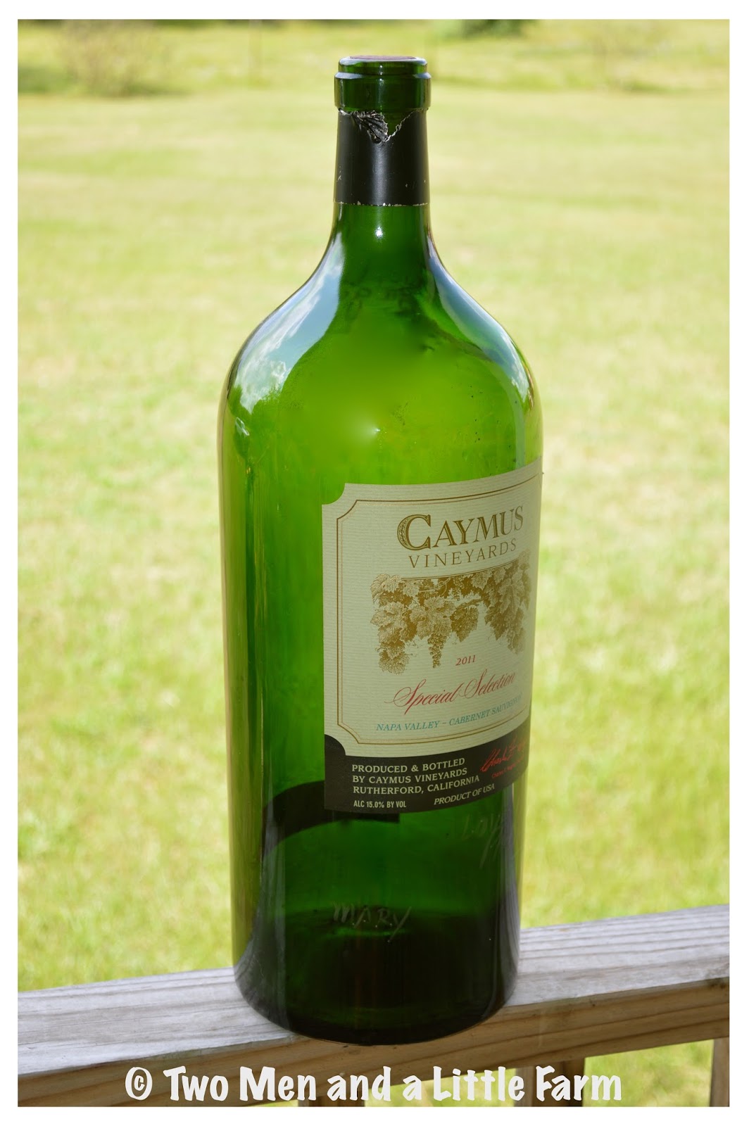 Two Men and a Little Farm MAGNUM WINE BOTTLE TRASH TO TREASURE FIND