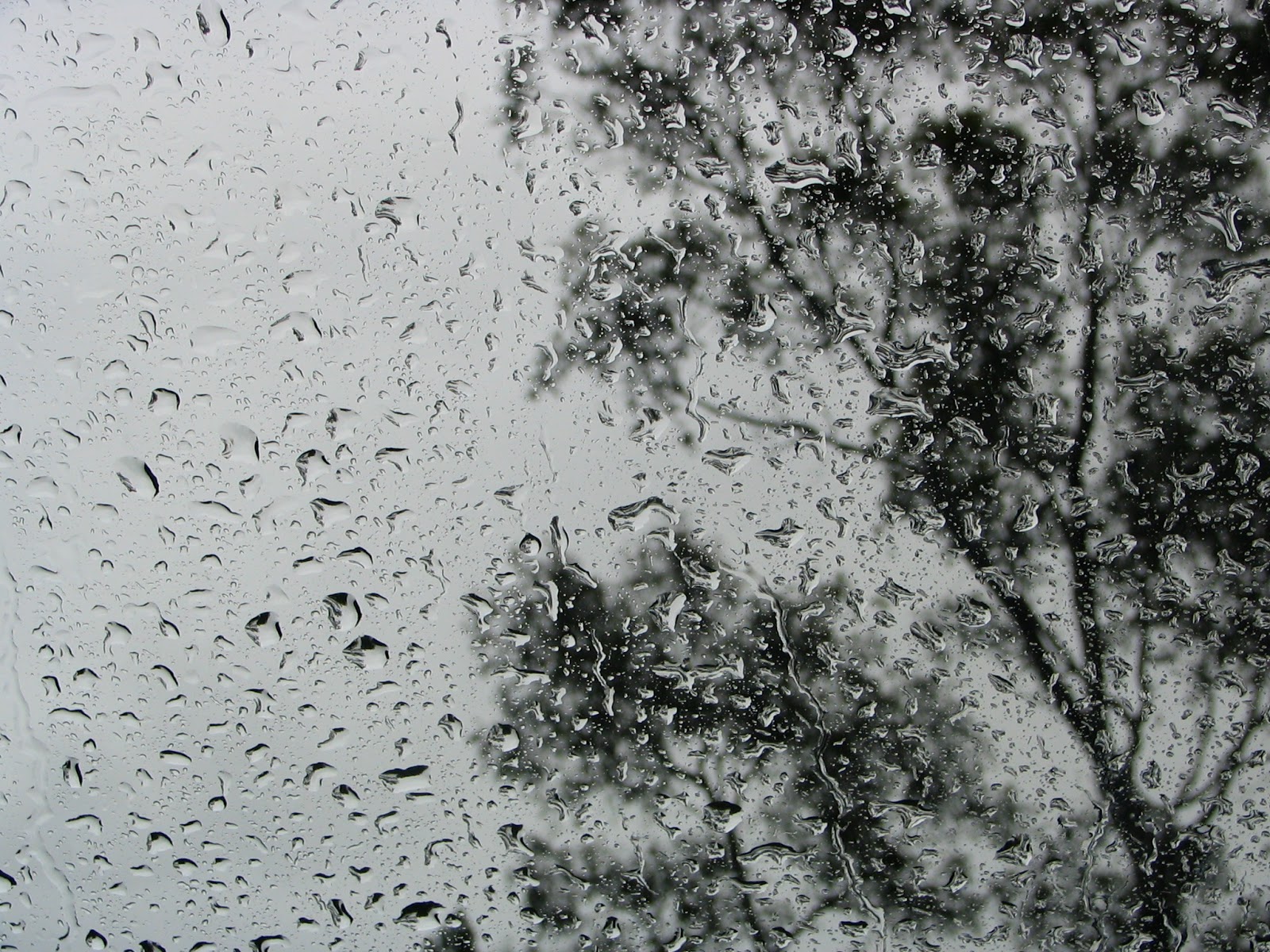 Rain is hard. Жесткий дождь. very heavy rain. it was raining raining raining hard.