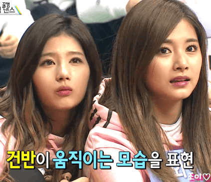 사나 그리고 모모.gif | 인스티즈