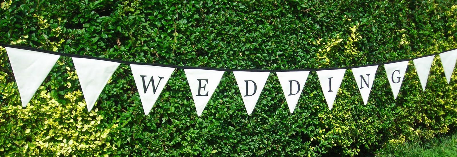 The Wedding by Eve Bunting The Wedding by Eve Bunting
