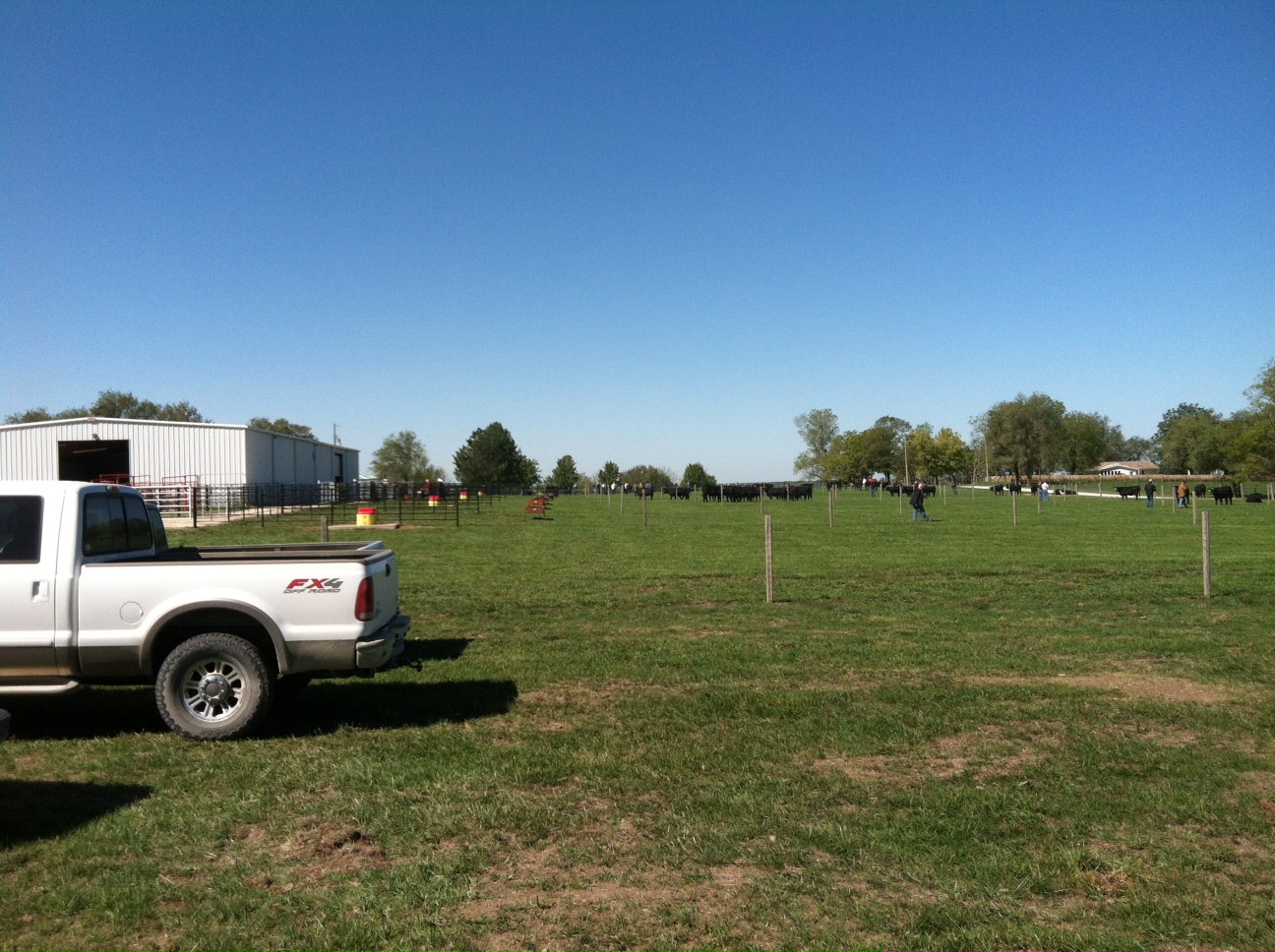 DIAMOND G CATTLE CO. Sanders Ranch Kansas