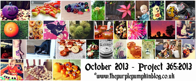 Project 365:2013 – October Round-Up