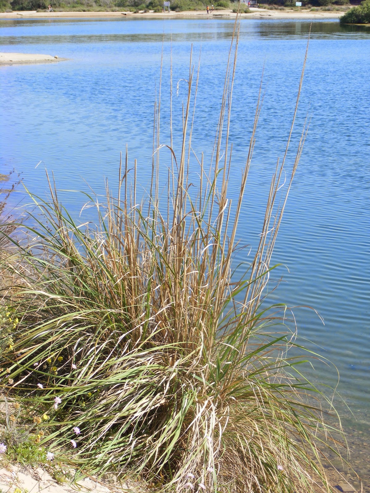 Fotos que me gustan Todas están hechas por mi El lago artificial de