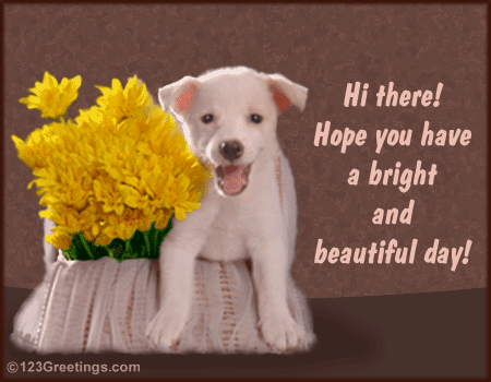 Positively Gina: Have a Beautiful Day, Everyone!