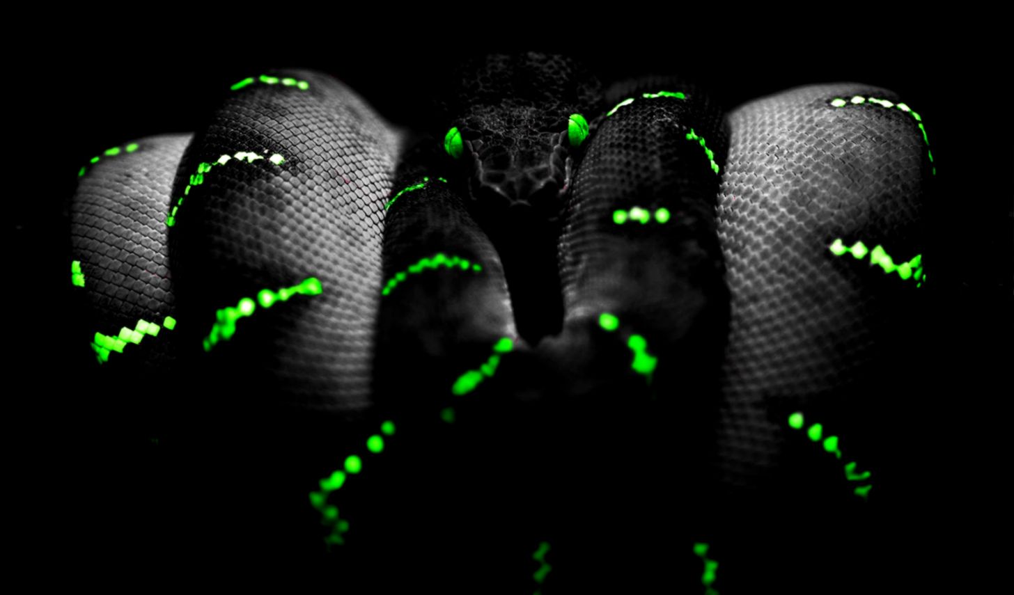 Awesome Hd Wallpapers 18   newywallpapers