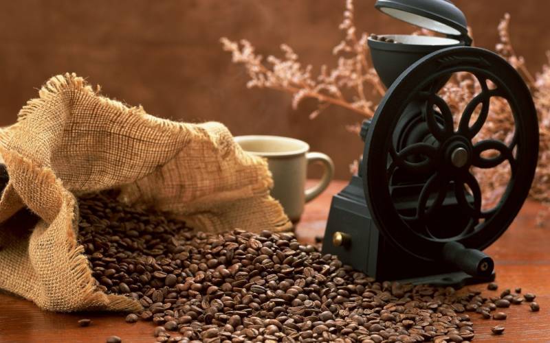 Kahve Tiryakileri Lady�s Cafe