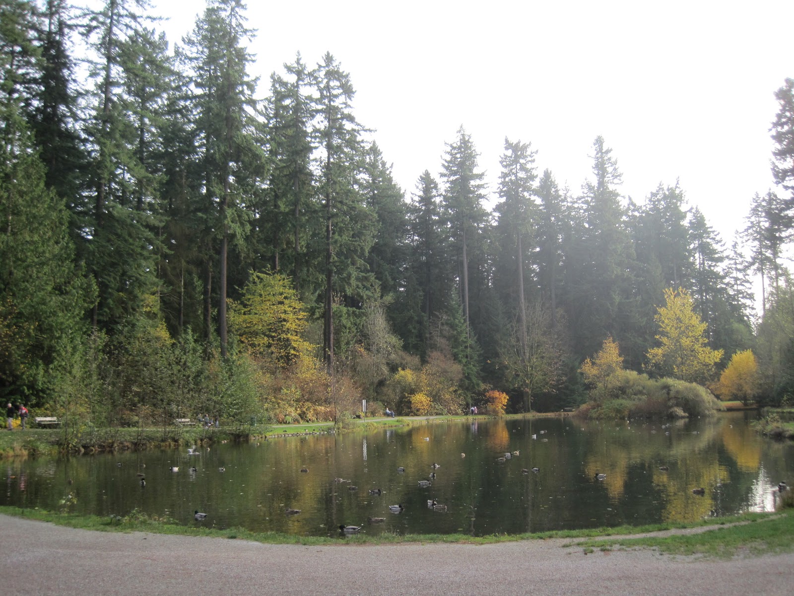 Vancouver In Colour A Walk Through The Park Central Park Vancouver