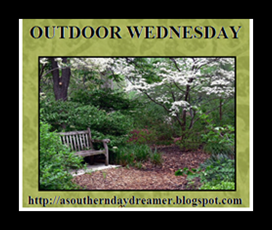 http://asoutherndaydreamer.blogspot.ca/search/label/Outdoor%20Wednesday