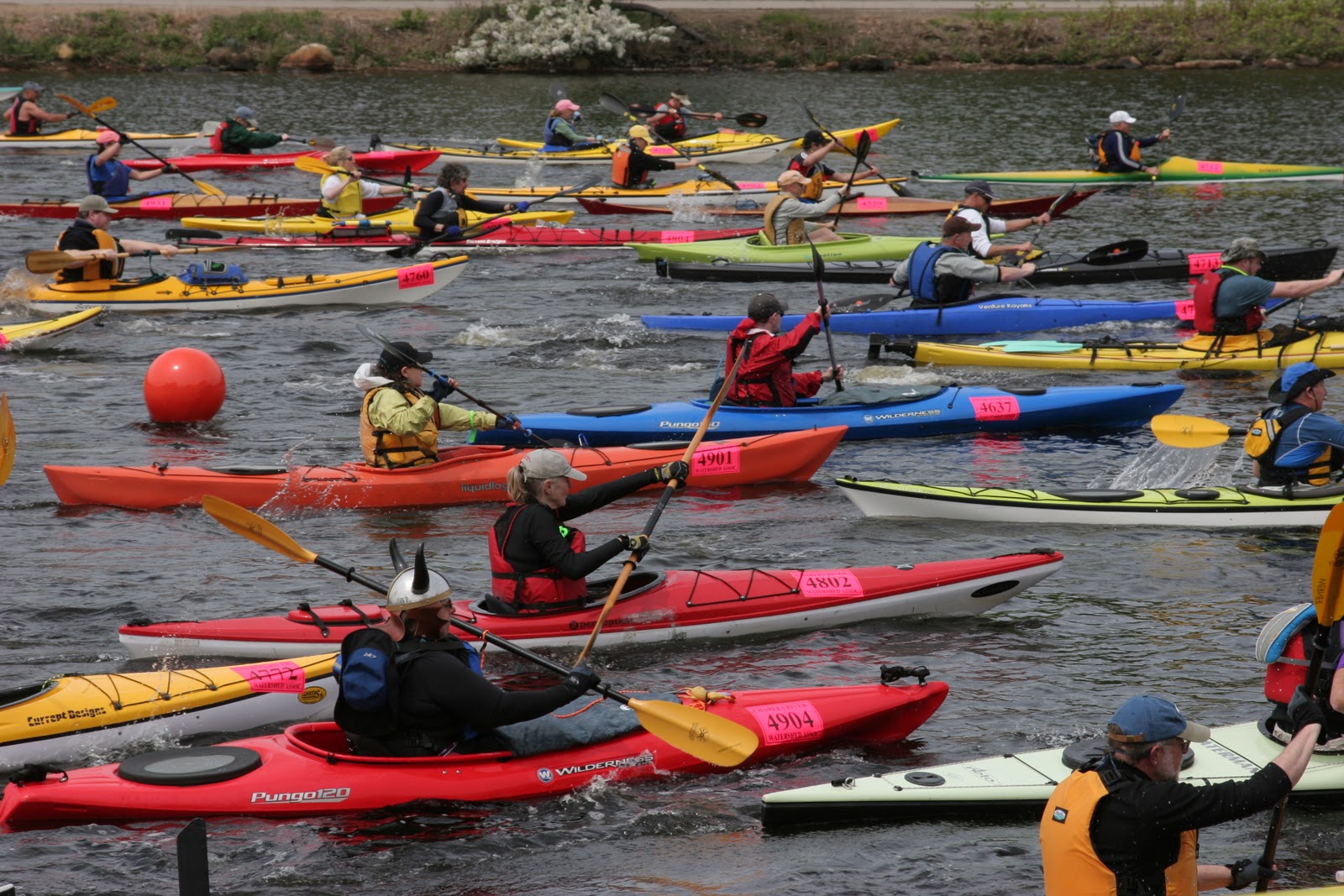 Volunteer Boston Get On Your Feet RUN OF THE CHARLES CANOE & KAYAK