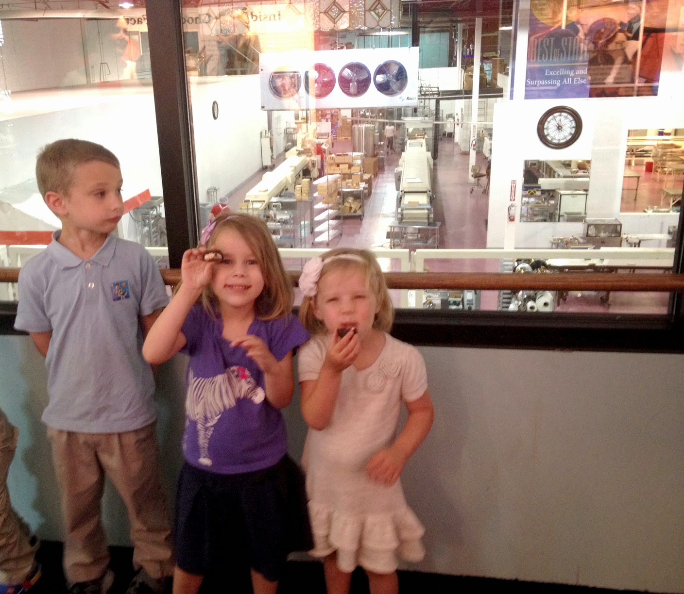 A school of fish Chocolate Factory Field Trips