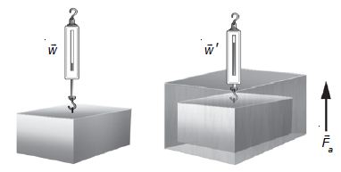 Pengertian dan Rumus Hukum Archimedes serta Contoh Soal Hukum