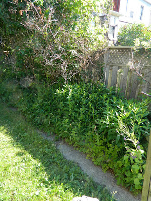 Toronto Riverdale back yard garden cleanup before by Paul Jung Gardening Services