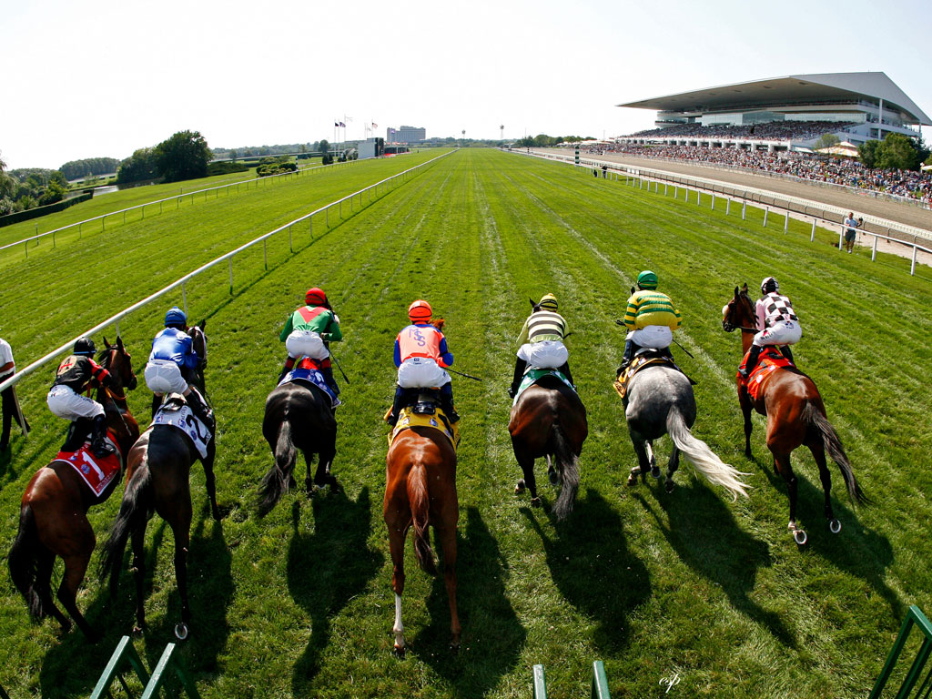 Top 31 Amazing And Dashing Horse Racing Wallpapers In HD