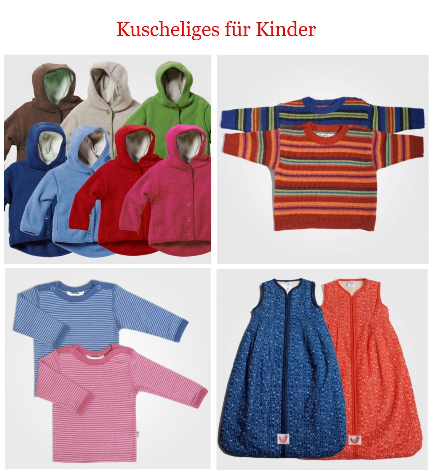 Ka Radler 12000 Bei Fridays For Future In Karlsruhe