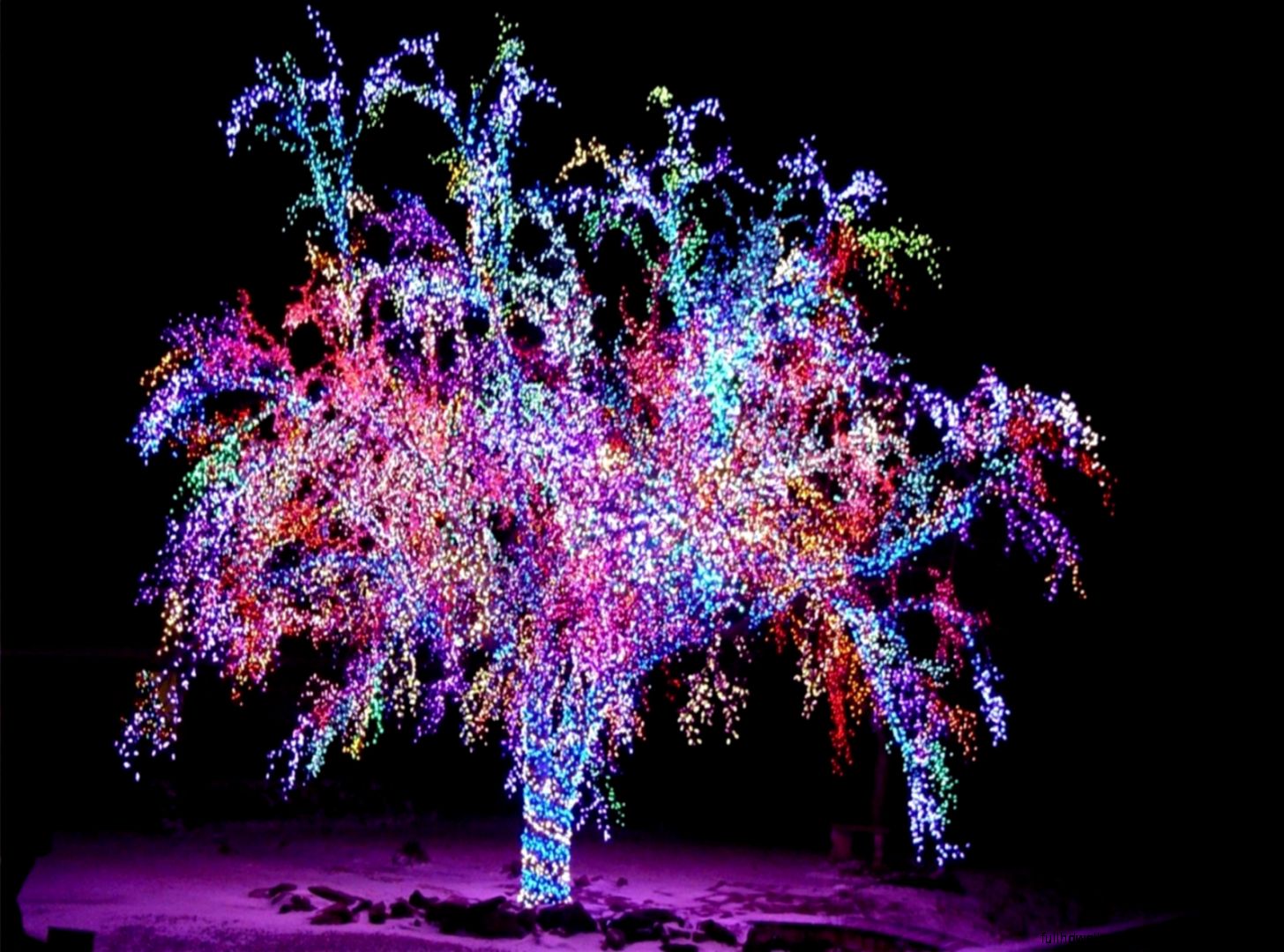 Christmas Lights Desktop