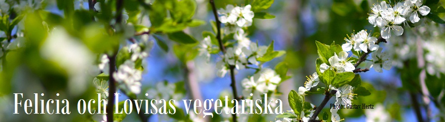 Felicia och Lovisas vegetariska