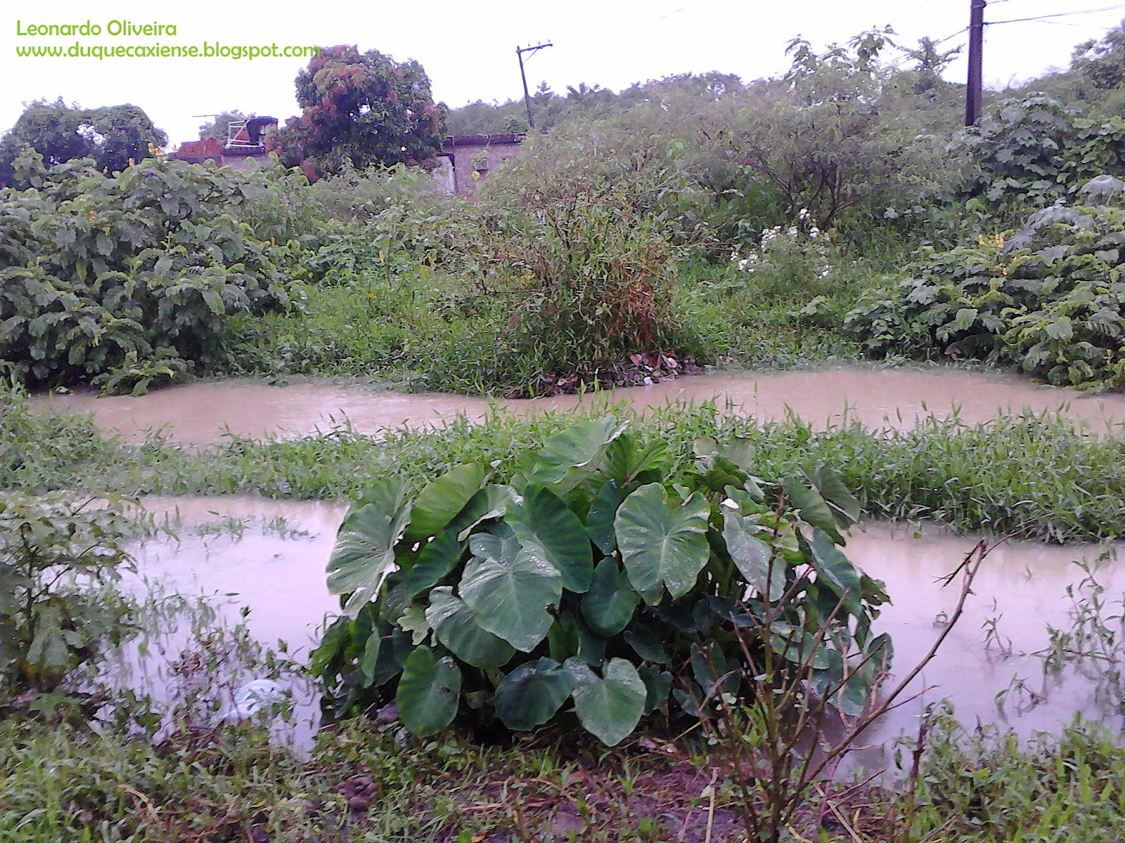 Baixada Fluminense PANTANAL DUQUE DE CAXIAS