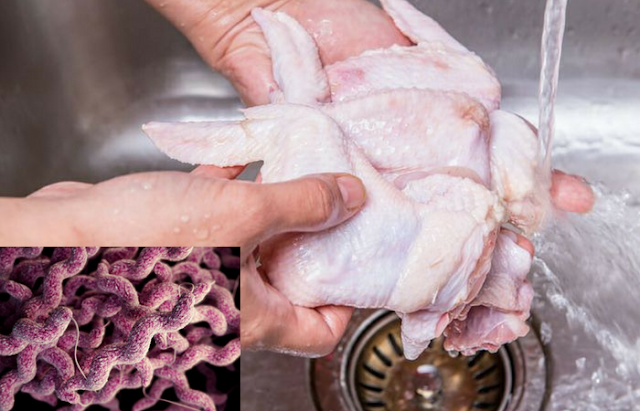 Bahaya, Ternyata Mencuci Daging Ayam Mentah dapat Menyebarkan Wabah Penyakit