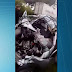 Motorista morre em acidente entre carro e duas carretas em Palmeira