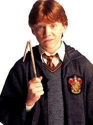 wand wizard chooses essay