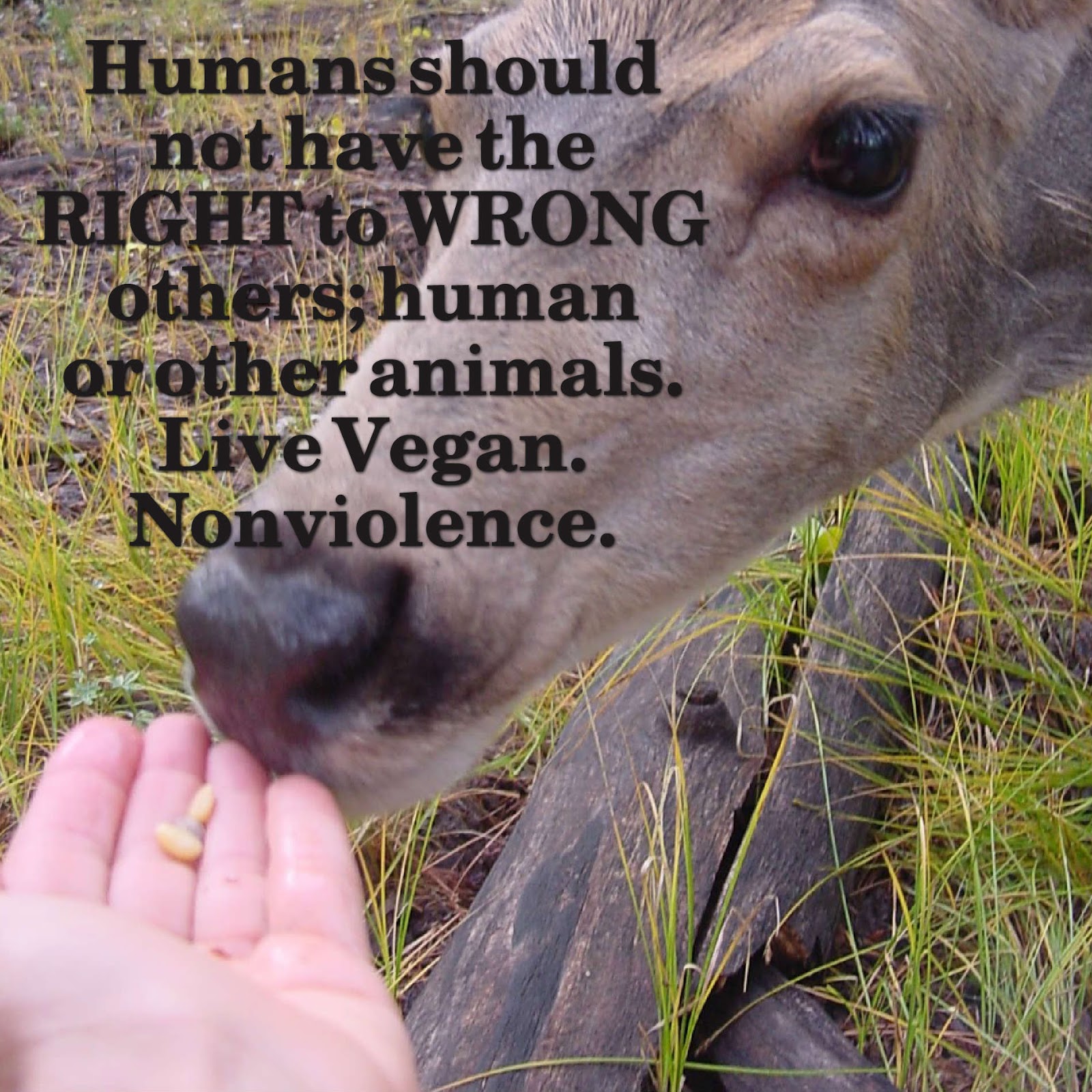 VEGANISM: A TRUTH WHOSE TIME HAS COME