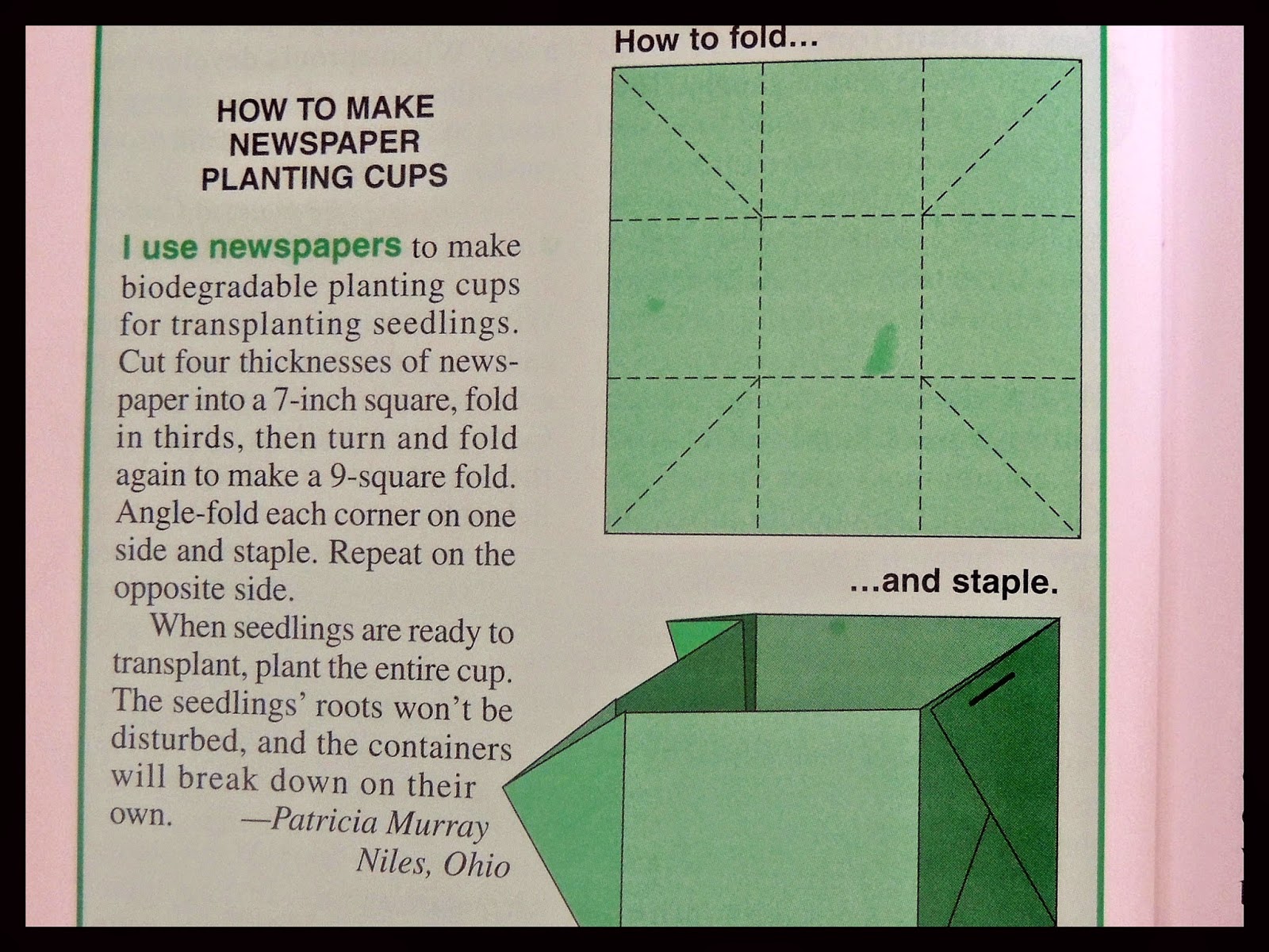 Angelgirlpj Making Newspaper Planting Cups Recycle and Reuse