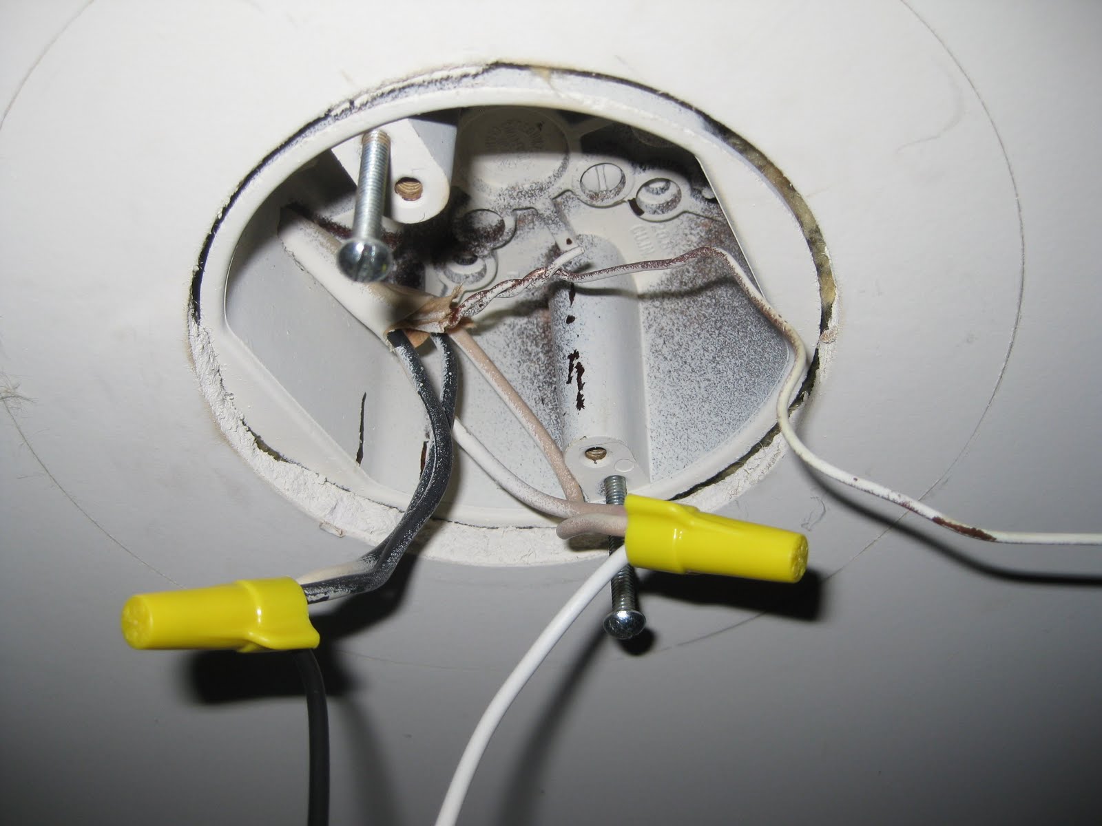 Light Fixture With Two Black Wires