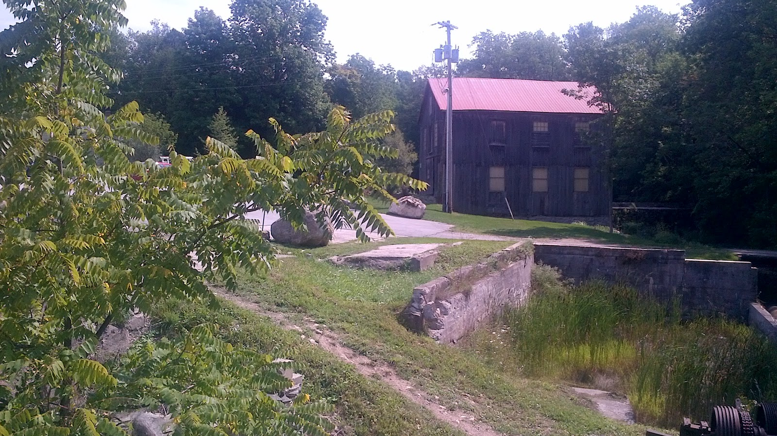 Tuscan Buns THE FALLS INN WALTERS FALLS