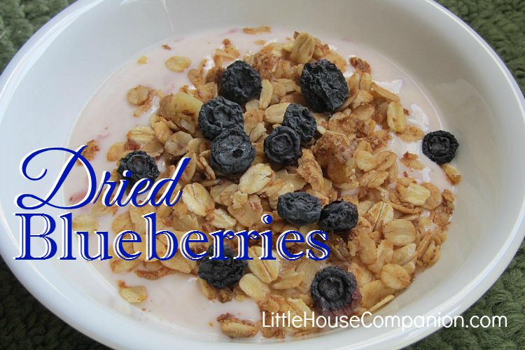 How to Dry Blueberries The Laura Ingalls Wilder Companion