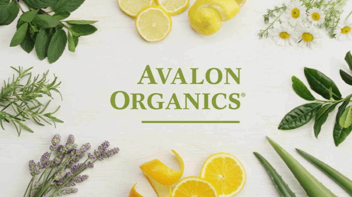 Top 4 Cosmetic Brands Affordable & Organic Beauty Living Cheaply