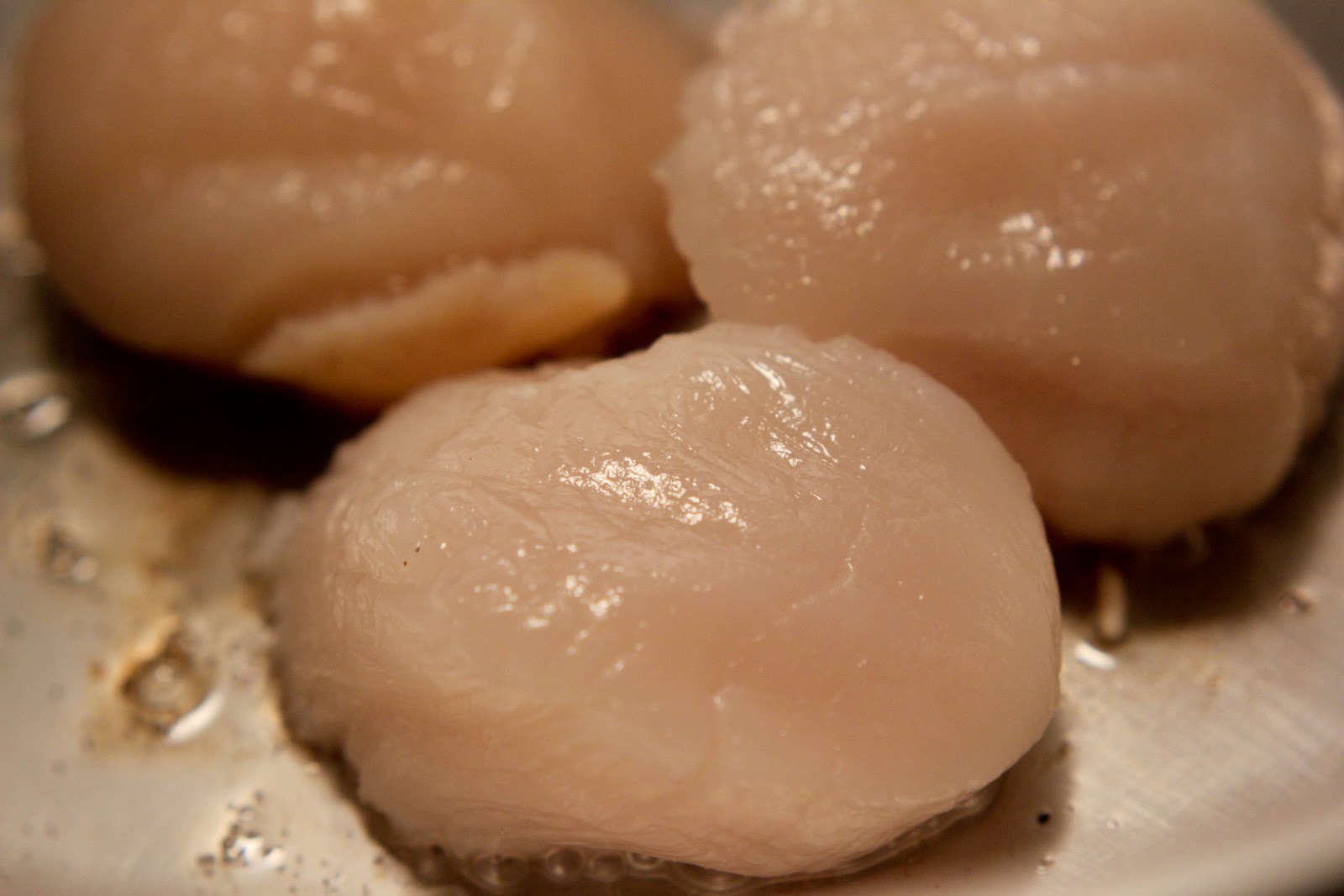 A Scientist's Love Affair with Food Scallops with Honey Soy Sauce