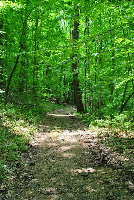 ridley creek state park bike trail