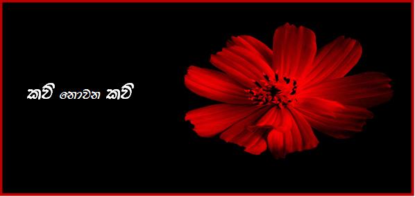 කවි නොවන කවි 