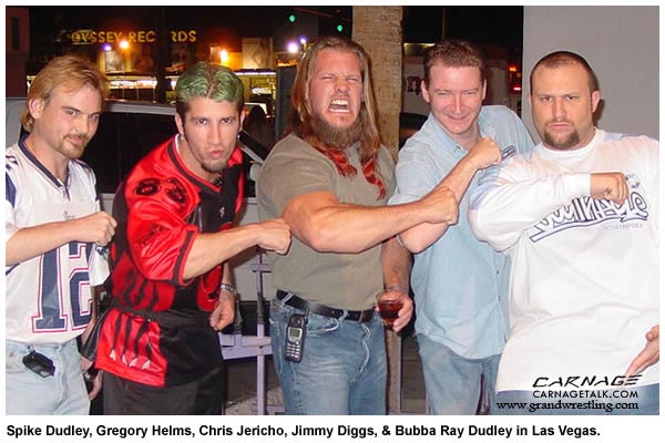 Bubba Ray And Devon Dudley Tna Wallpapers ~ WWE Superstars,WWE