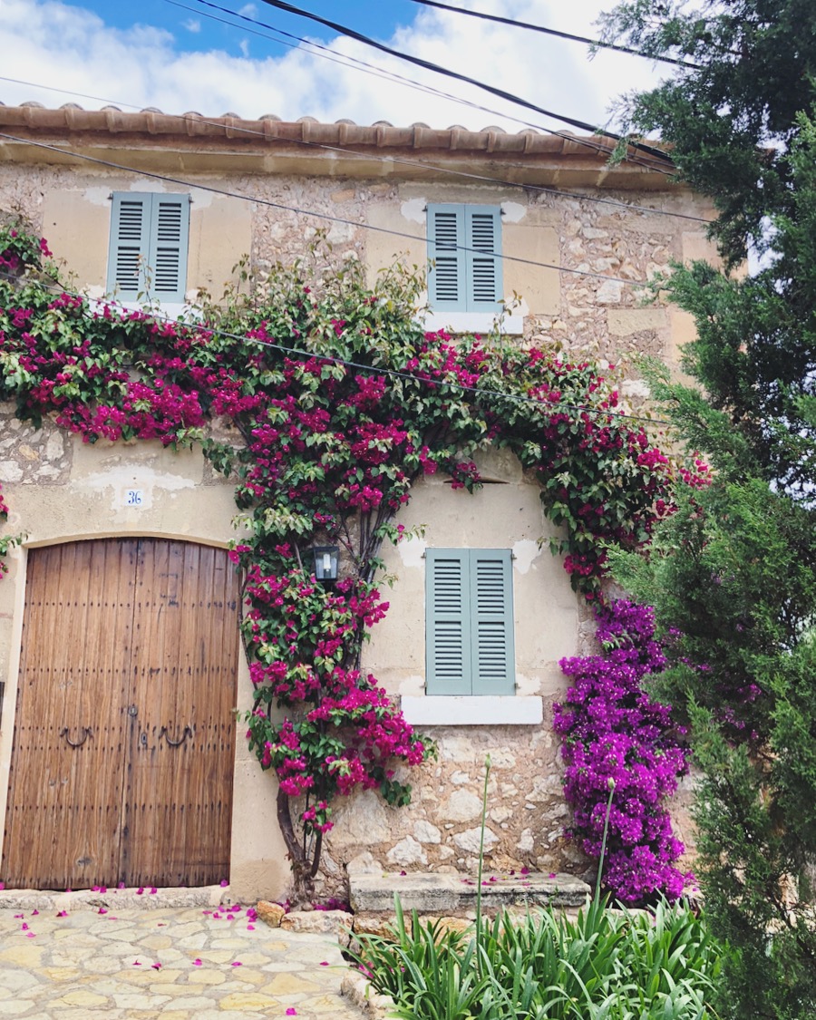 Travel // Mallorca {Part One} - Roses and Rolltops