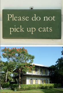 Hemingway House and Cats. There are always cats.
