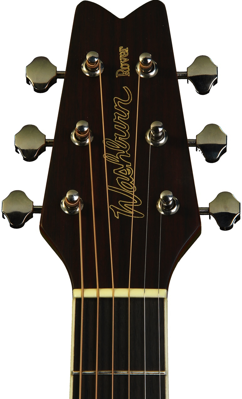 Rex and the Bass Washburn Rover Travel Guitar Review