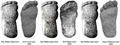 Comparing bigfoot track castings. 
