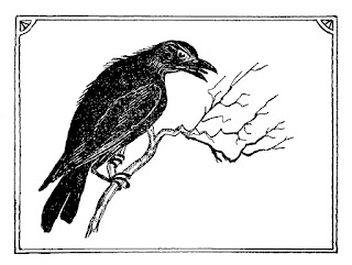 crow bird image digital clipart halloween download