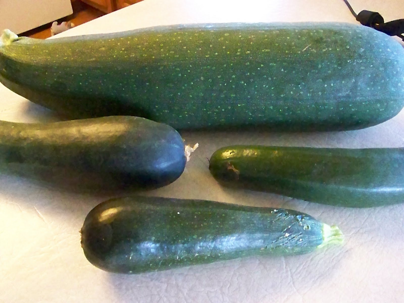 Easy Frugal Living Zucchini CandyIn honor of National Sneak Zucchini