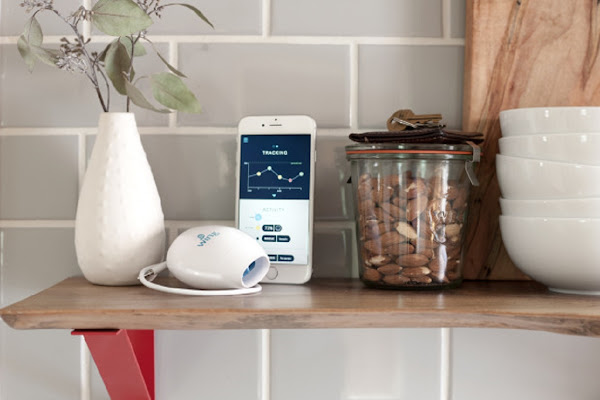 數位時代翻攝自 Sparo Labs 在 Indiegogo 的 Wing 募資頁面