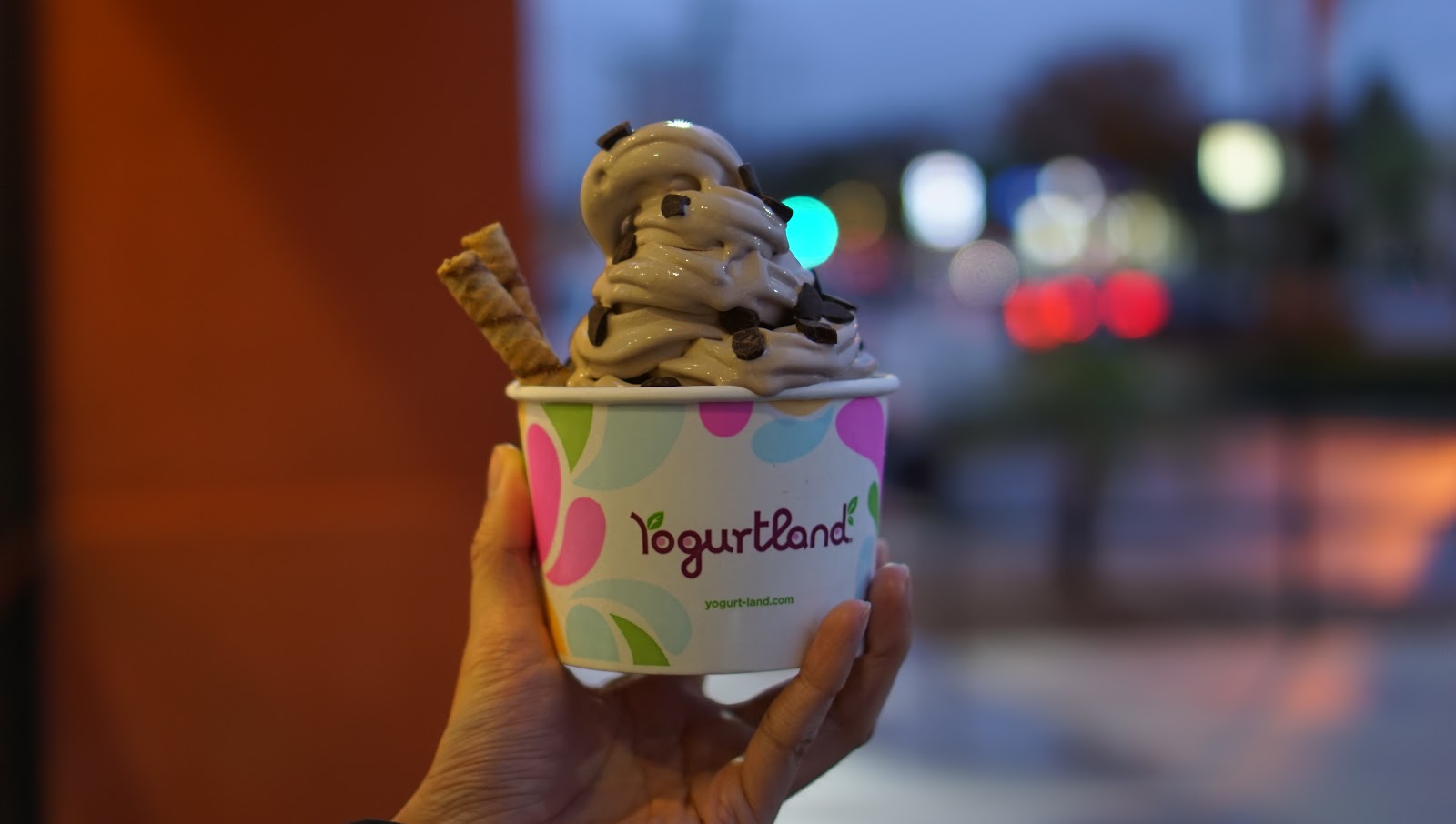 The Yogurtland Oreo Ice Cream Is My New FAVE!