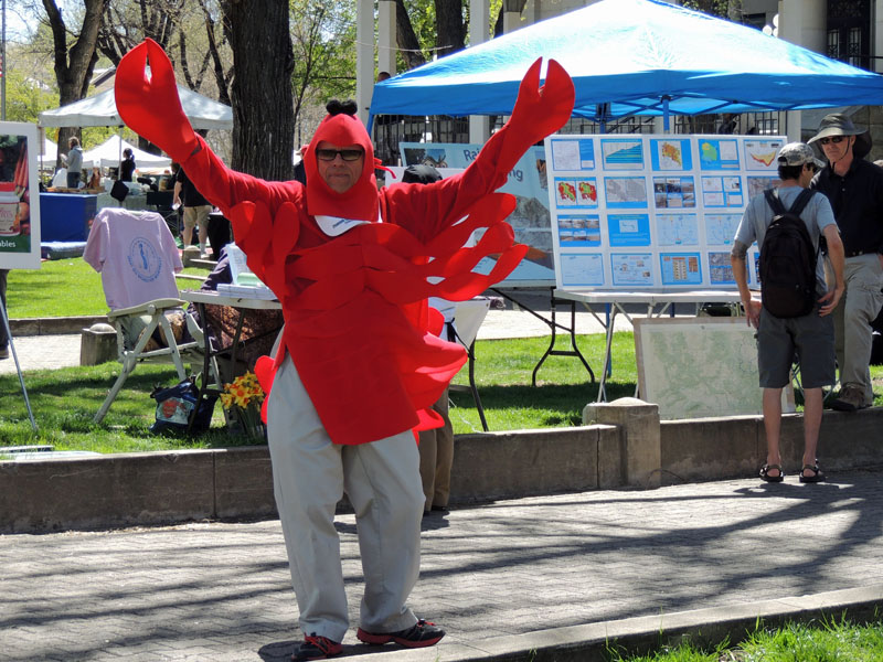 Prescott Area Daily Photo Lobster Man