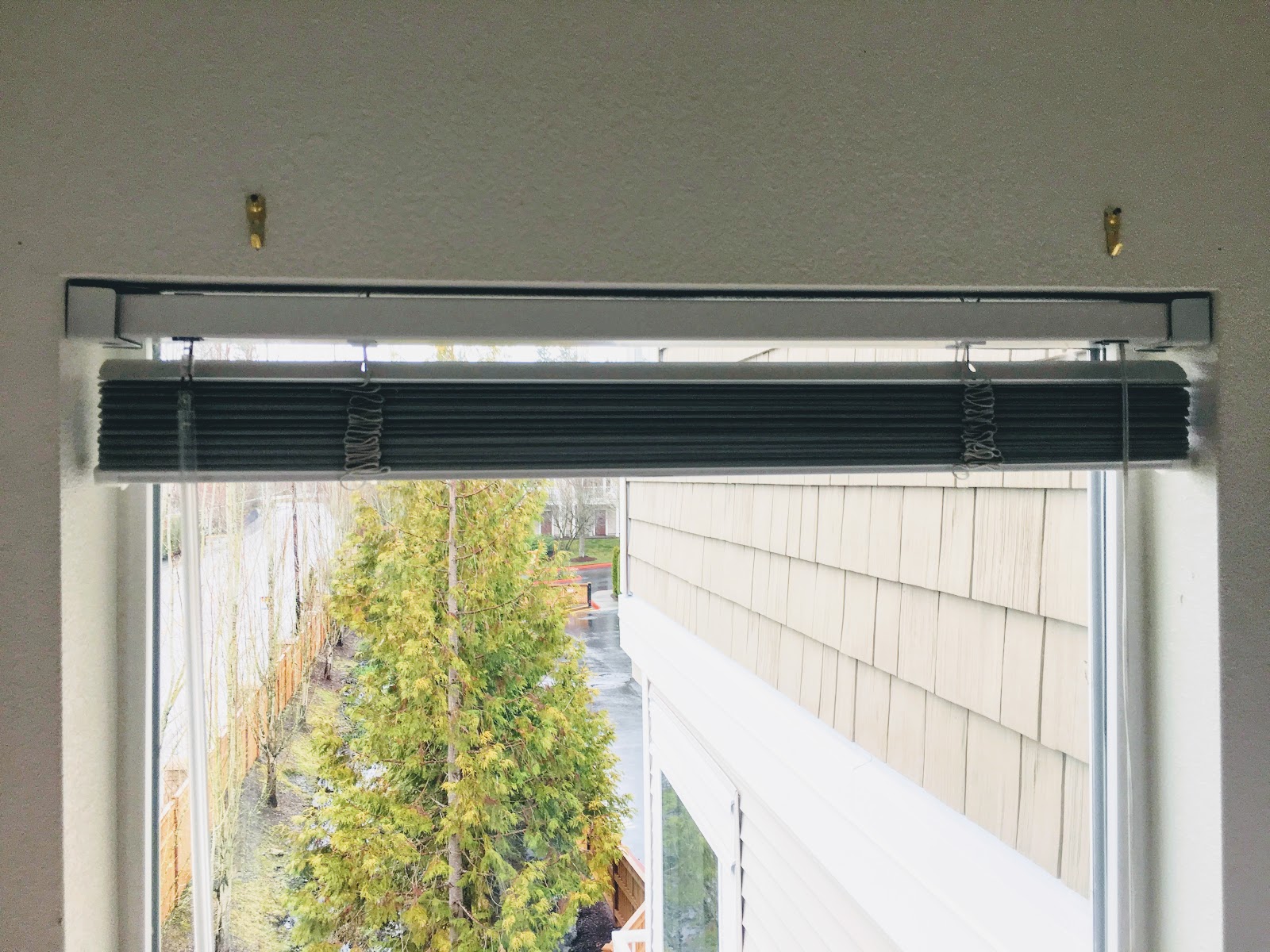 DIY rollup bamboo blinds