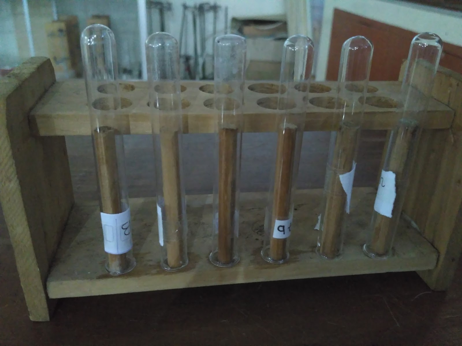 Uji Kandungan Gula dan Protein dalam Urine SCIENCE Uji Kandungan Gula dan Protein dalam Urine SCIENCE